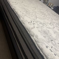 Free Queen Mattress 