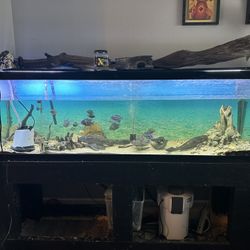 Tank With Stand 