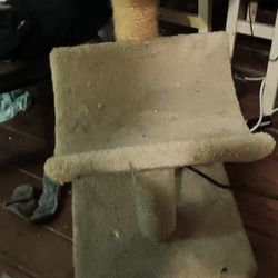 Cat furniture 