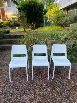 Dining Chairs