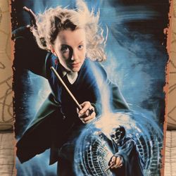 Harry Potter Luna Lovegood Sign Tin Death Eater 8" x 12"