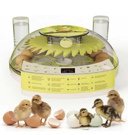 22 Egg Incubators for Hatching Eggs X(292)