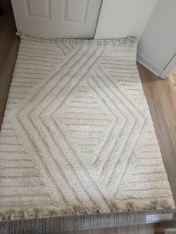 Modern Geometric Ivory Area Rug 4x6 with Fringe