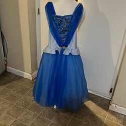 Cinderella Dress Halloween Costume 