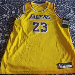 LeBron James Jersey