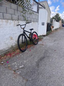 Unknown 29er