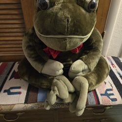 Stuffed Animal Frog
