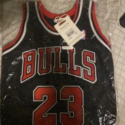 Michael Jordan Classic Hardwood NBA Authentic Alternate Jersey 