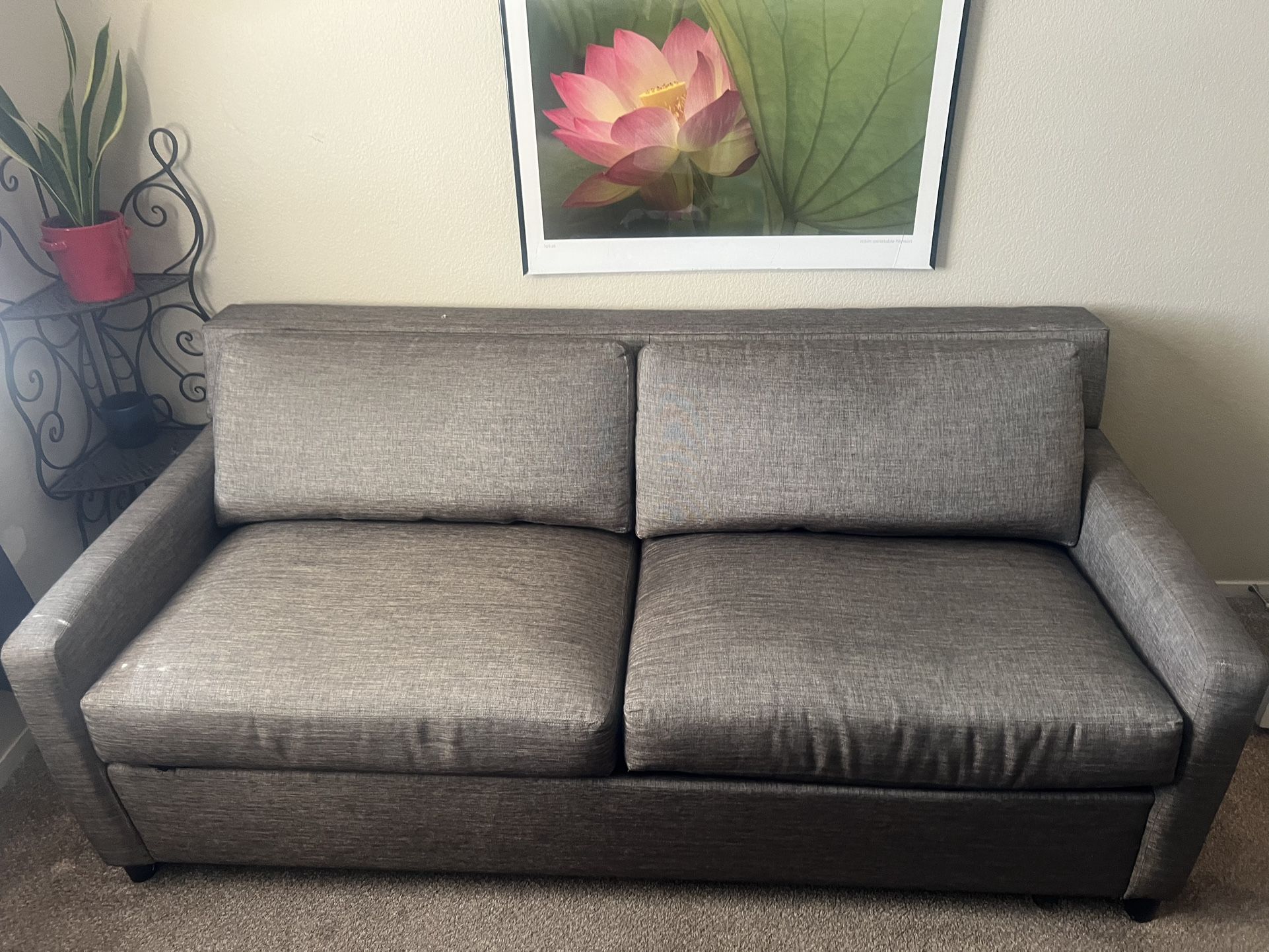 Couch/bed