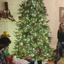 Beautiful christmas tree