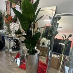 Vendo Planta Decorativa Nueva 