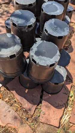 Heavy-Duty 6" Commercial Injection-Molded Nursery Pots - Sturdy