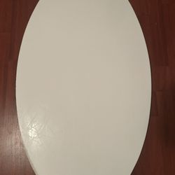 Zap Skimboard 
