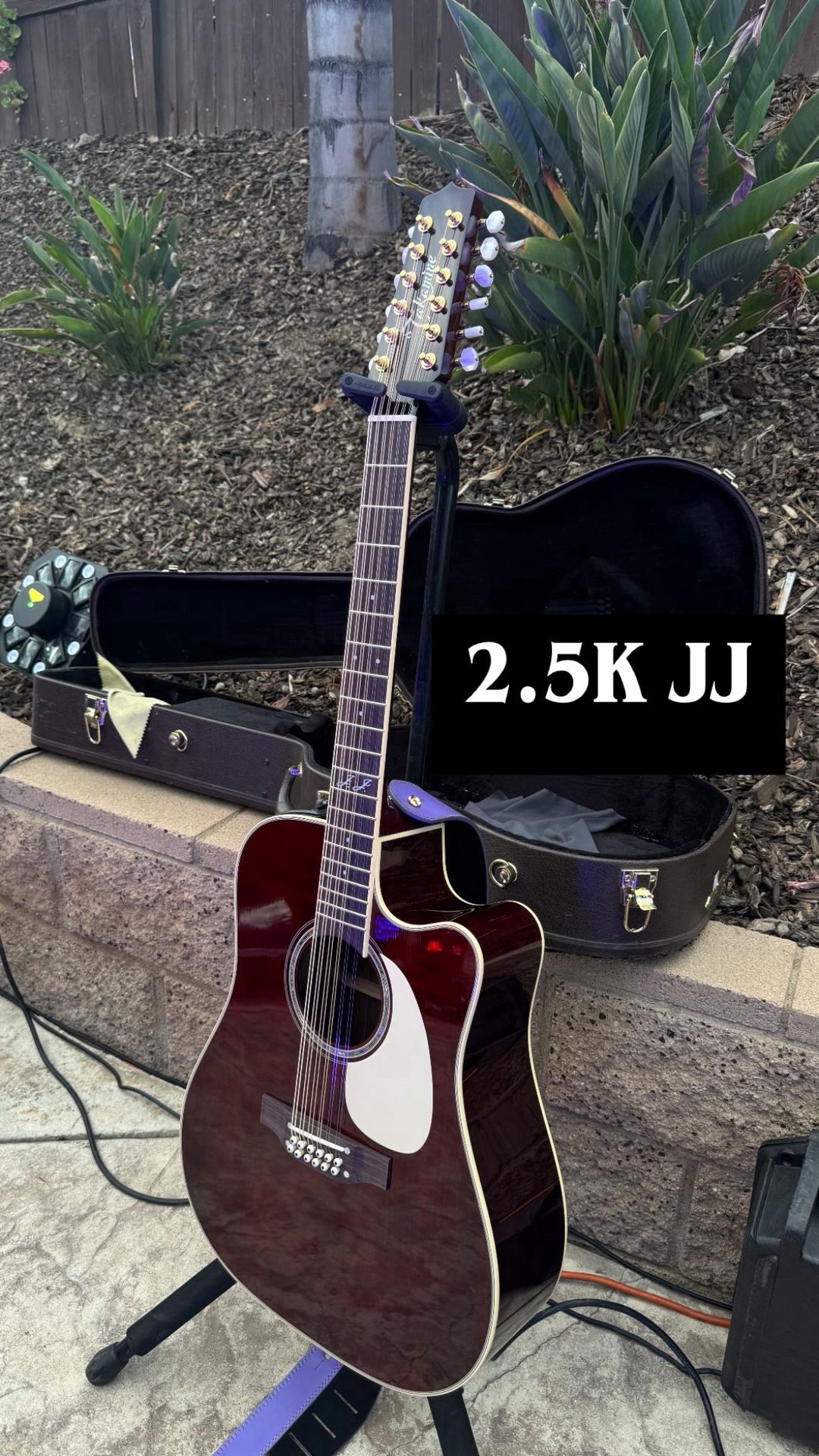 Takamine JJ