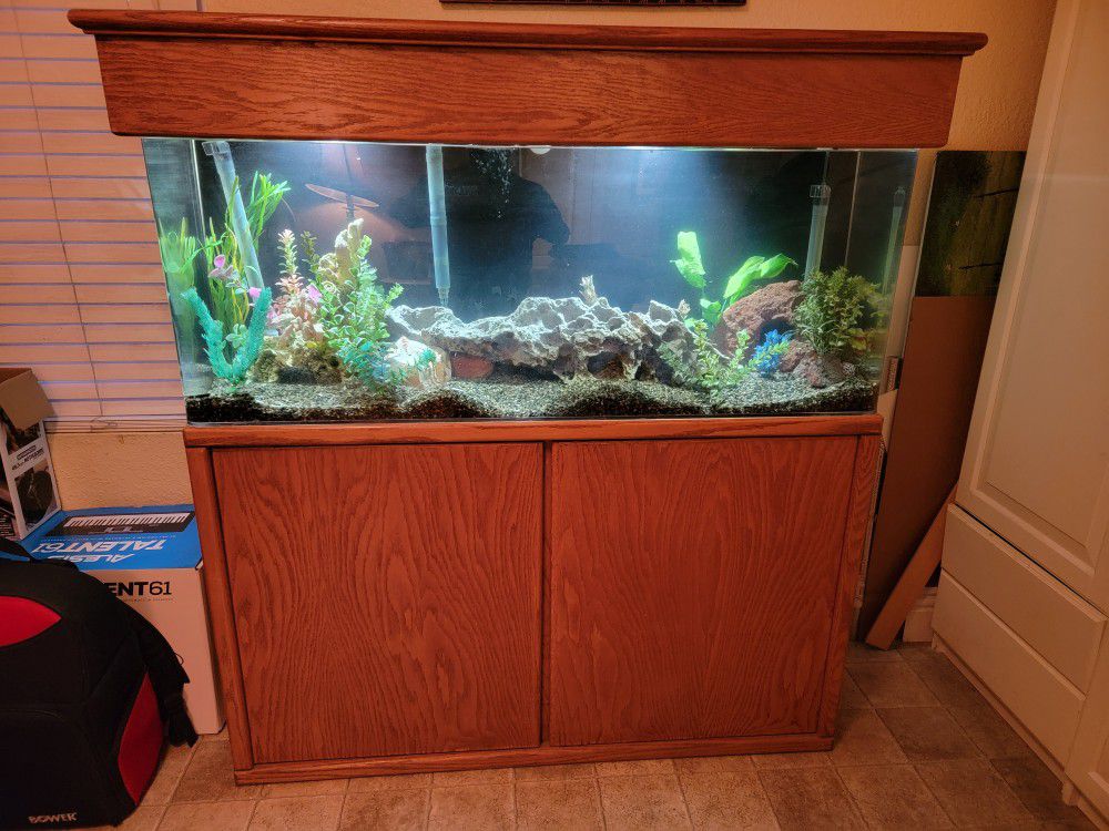 50 Gallon Fish Tank 