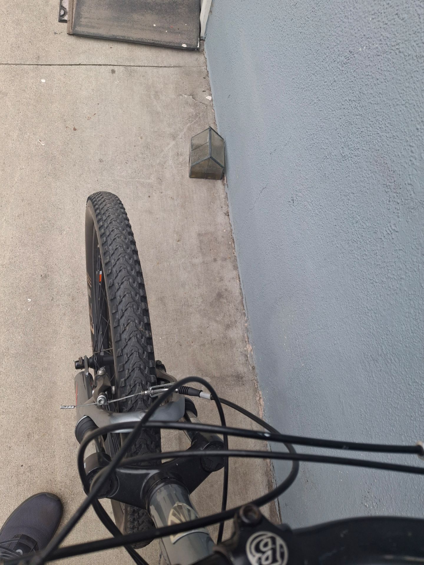 Trek bike