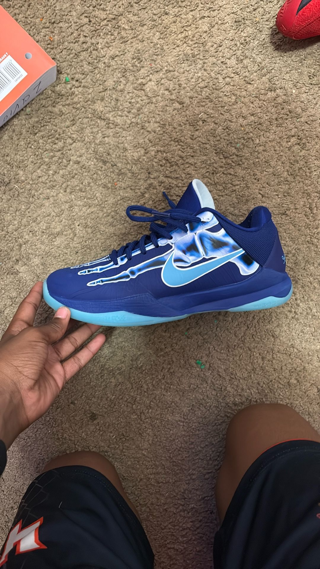 Kobe X-ray 