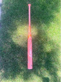Easton Ghost Softball Bat