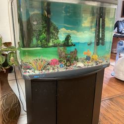 Fish Tank 30 g