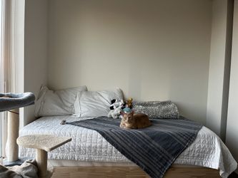 Ikea twin size frame with mattress and sheets (cat not included)