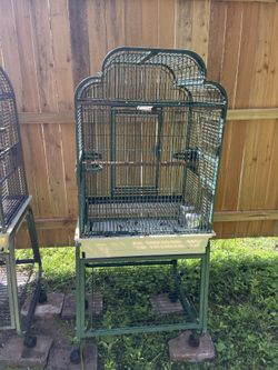 Bird Cage