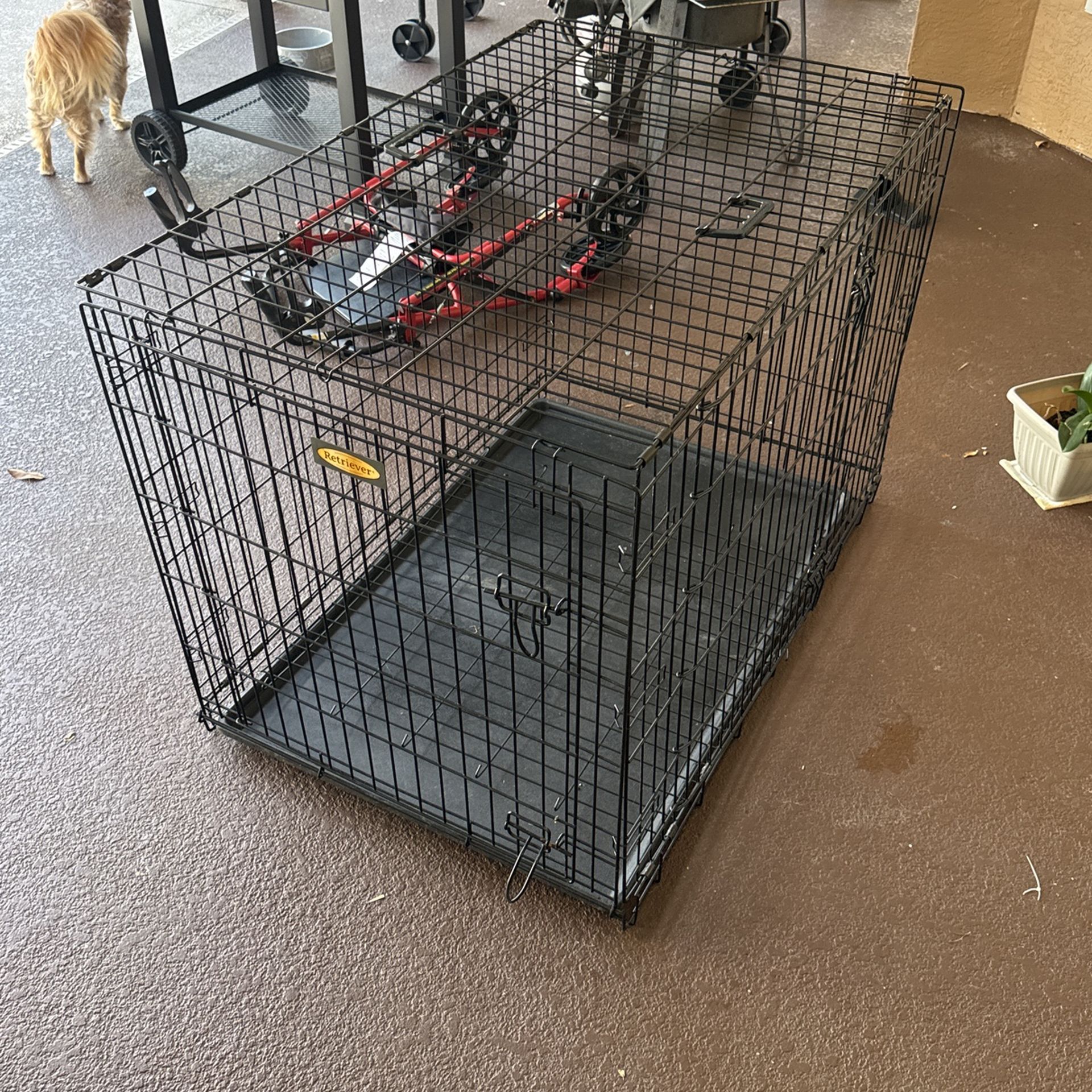 Dog Cage