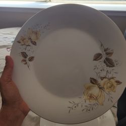 Dinner Plates 