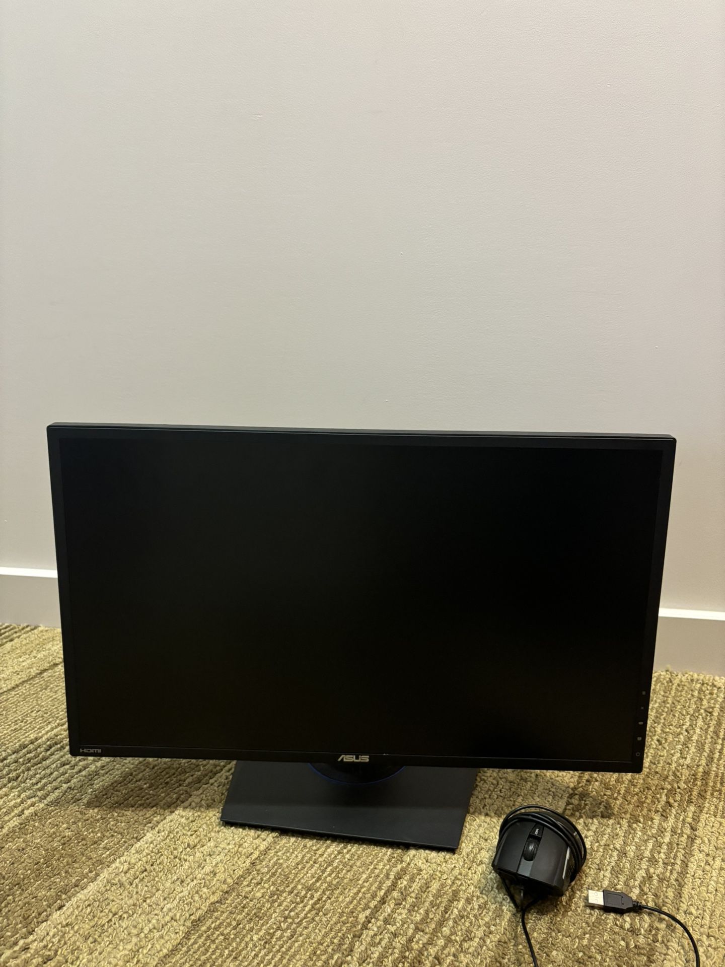 ASUS Monitor With Glow Up Mouse