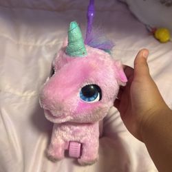 Pet unicorn