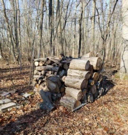Firewood