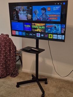 43" TV with Stand