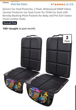 Car seat protector