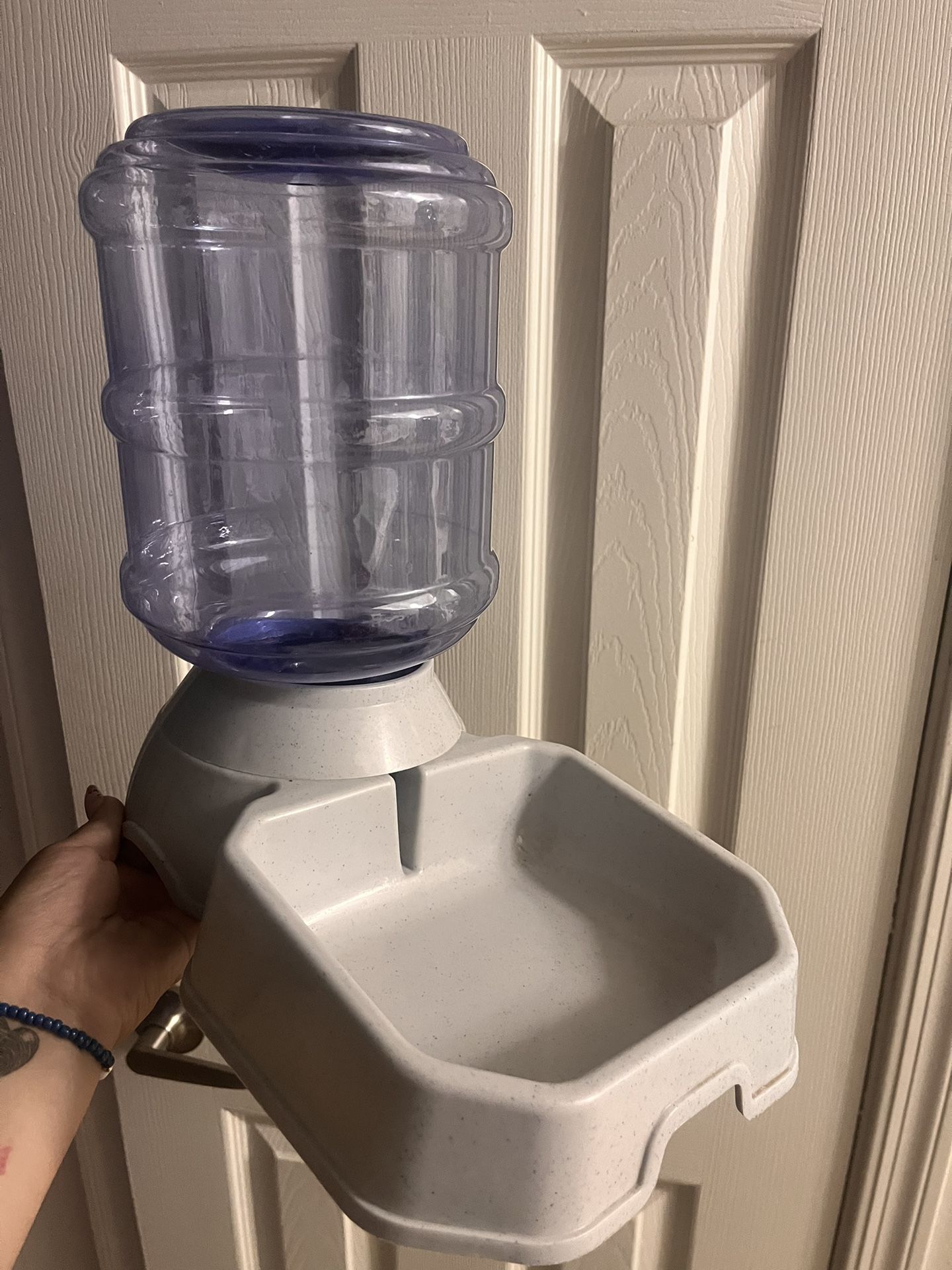 Dog Water Dispenser