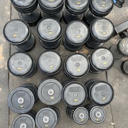 Troy 5-50lb rubber dumbbell set pro style