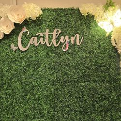 Party Backdrop Green 