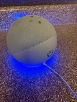 Amazon Alexa Echo