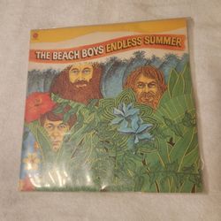 Beach Boys "Endless Summer" Vinyl