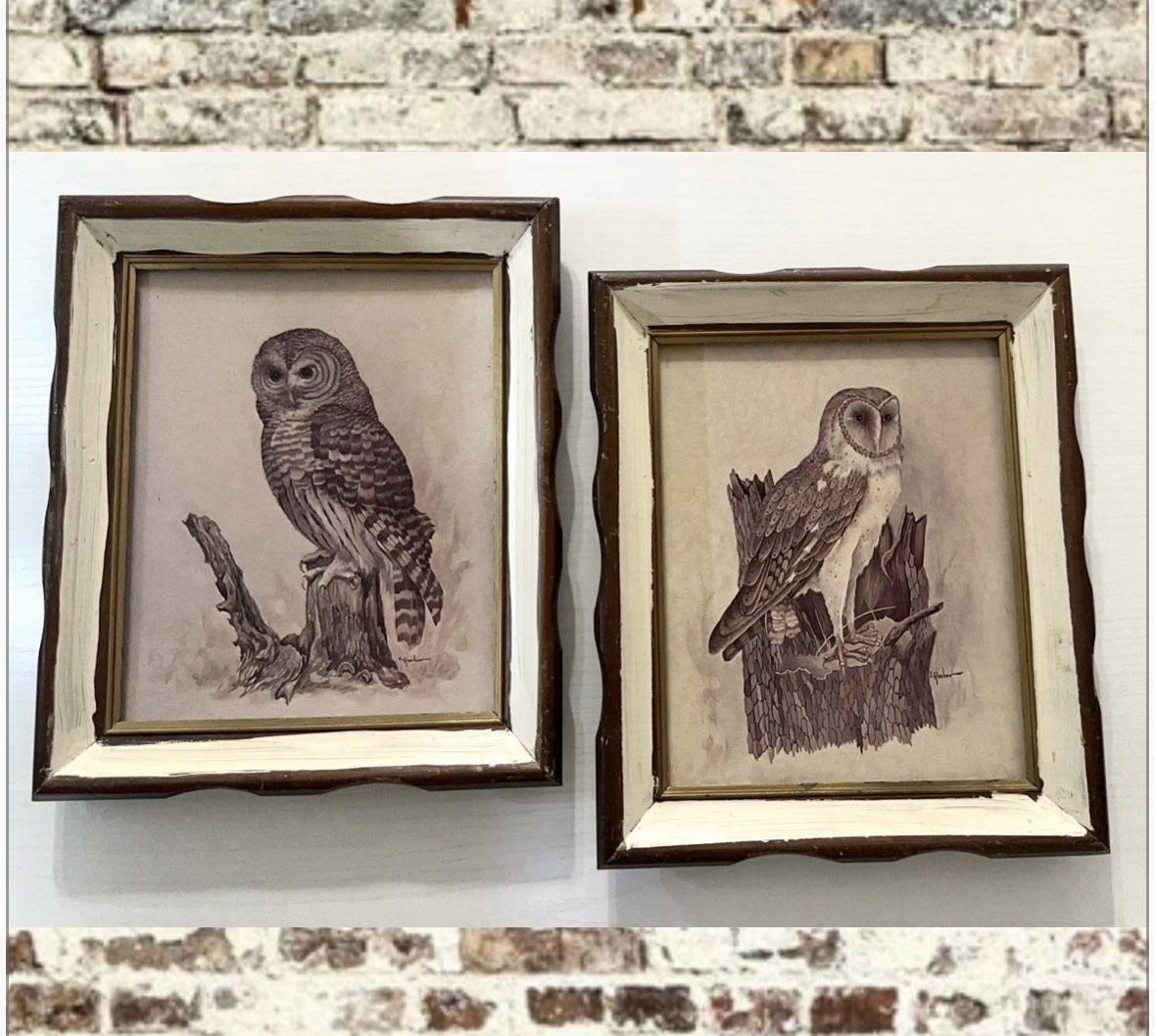 Vintage Owl E Ranbow Framed Art Set of 2 Wooden Beveled Edge 12.5” Print