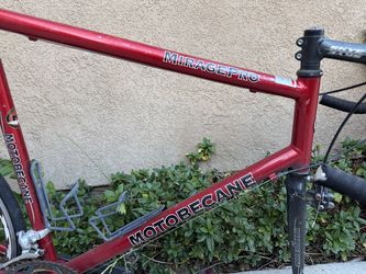 Motobecane XL frame
