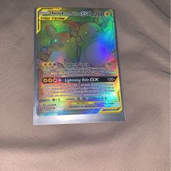 Raichu And Alolan Raichu GX
