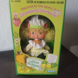 1980 Kenner Welcome To The World Of Strawberry Shortcake Lemon Meringue Doll No.43380 New Sealed