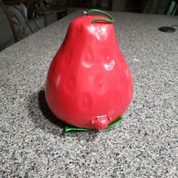 Vintage Strawberry Shortcake Case