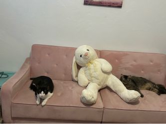 Pink Velvet couch- Pull out bed