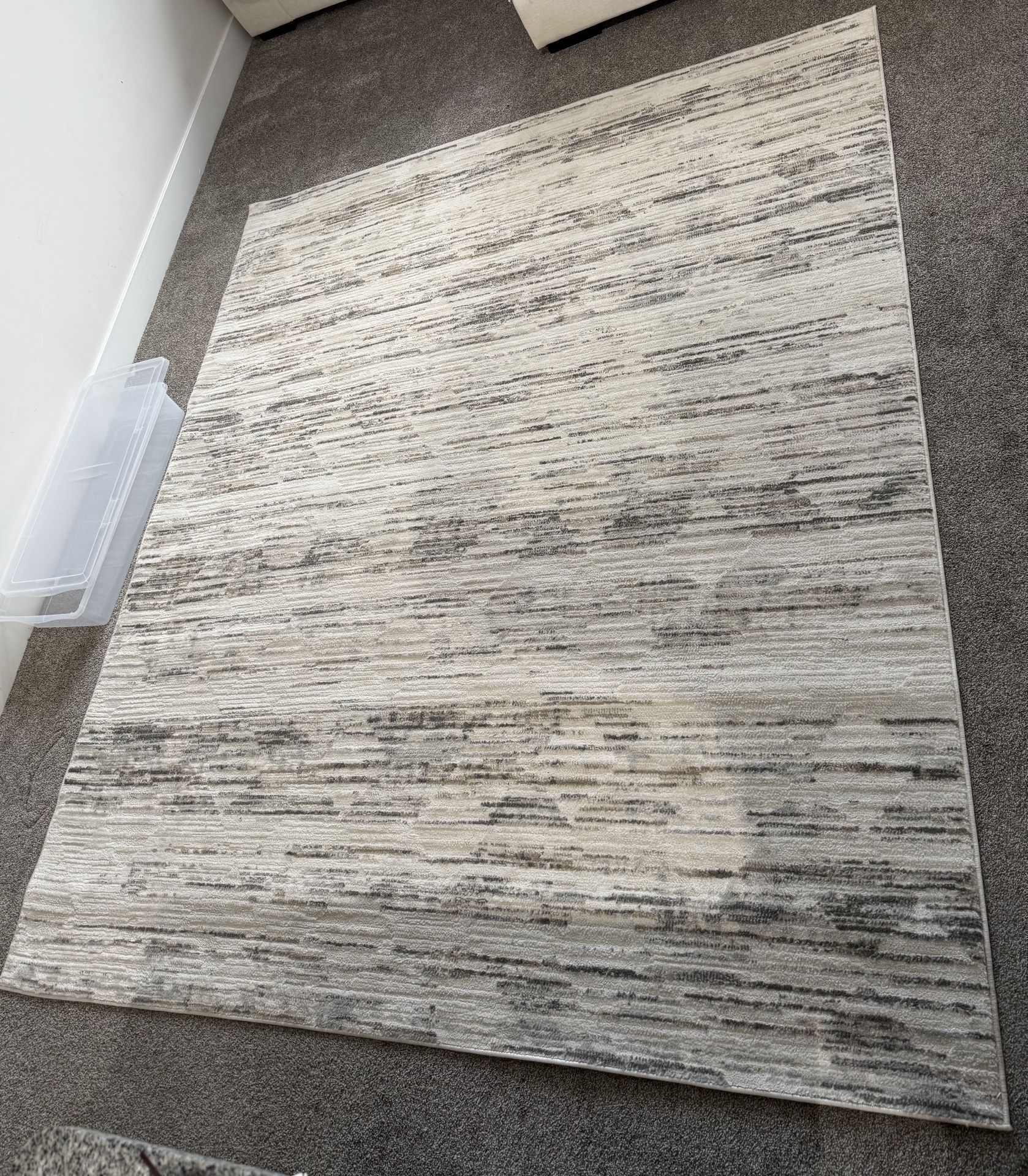 Modern Neutral Area Rug – Excellent Condition – Pickup Today (Silver Spring)