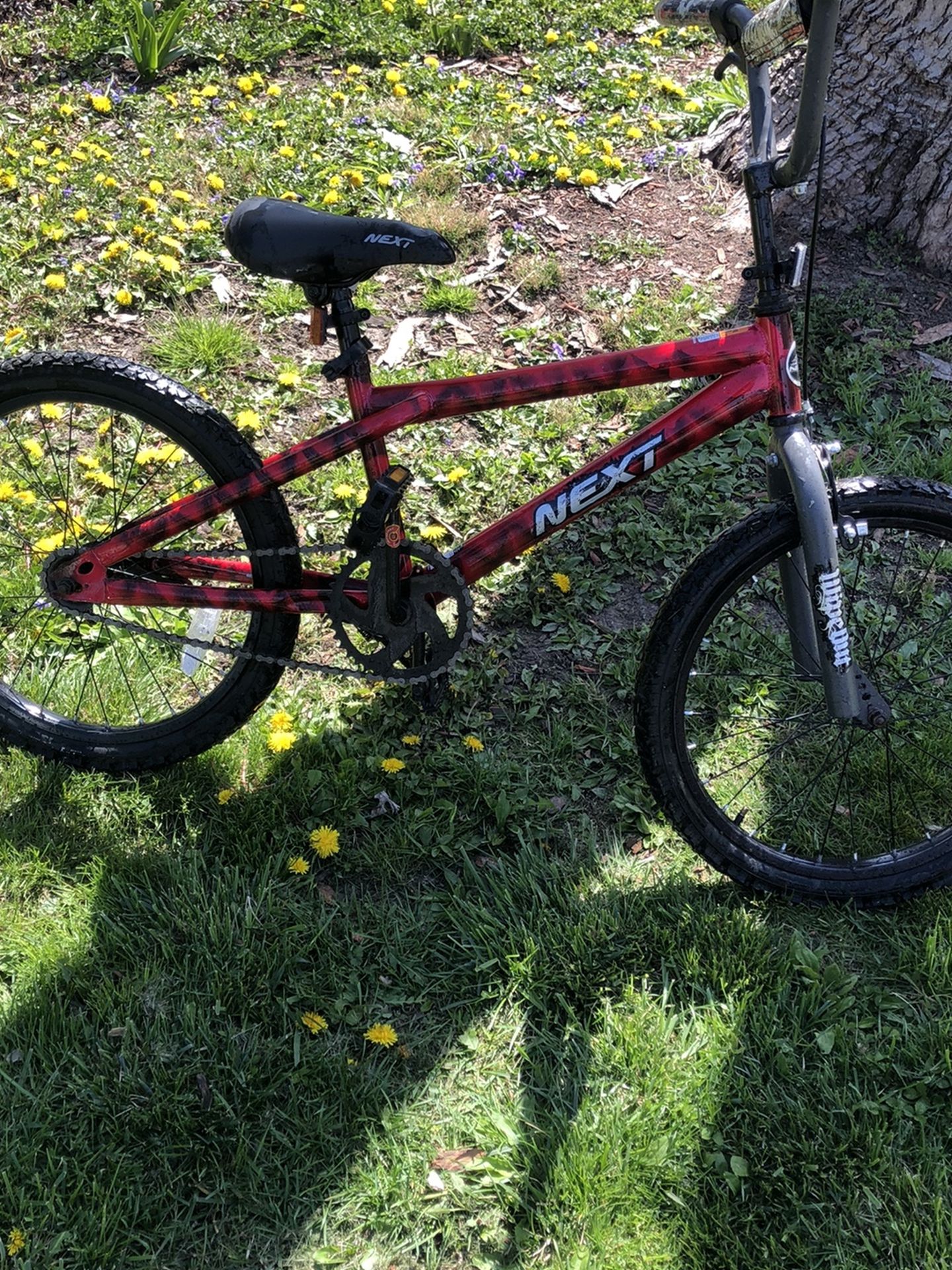 Bike