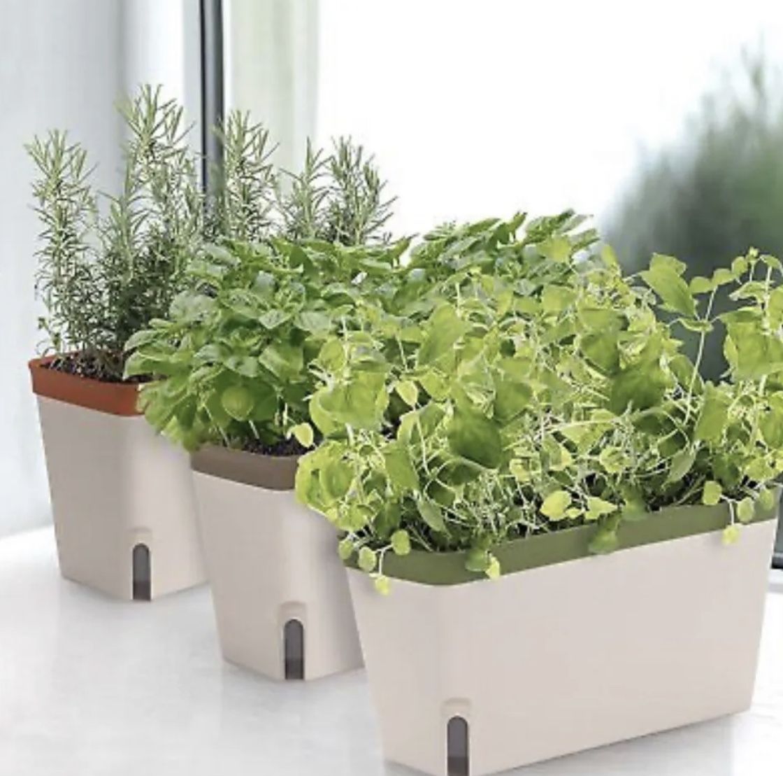 Window Herb Planter Box, Rectangular Self Watering Indoor Garden For Kitchens