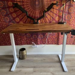 Standing Electric Desk + Dual Monitor Arms
