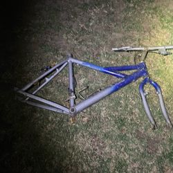Vintage Cannondale mountain bike frame