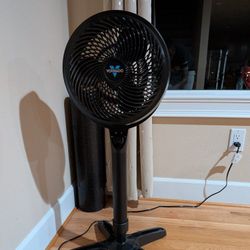 Vornado Fan 
