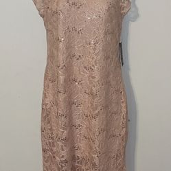 NWT Alex B beautiful elegant lace sequins dress pink size 8